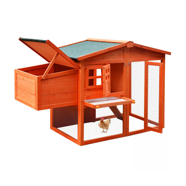 Tucker Murphy Pet™ Depreist Wooden Chicken Coop,Waterproof Outdoor